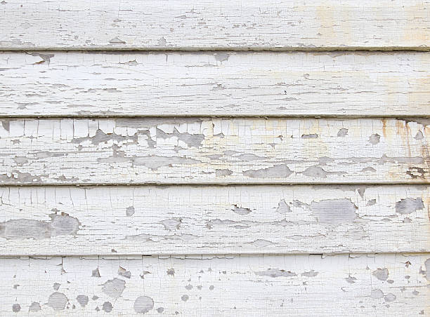 Best Custom Trim and Detailing for Siding  in Forest Hill, TX