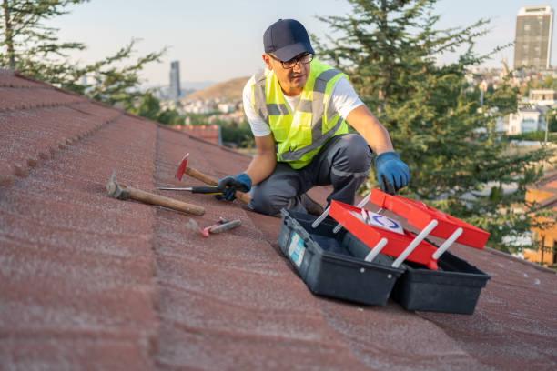 Professional Siding in Forest Hill, TX